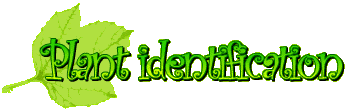 Plant finder