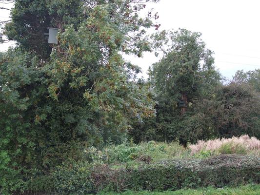 owl_boxes_on_reserve.jpg