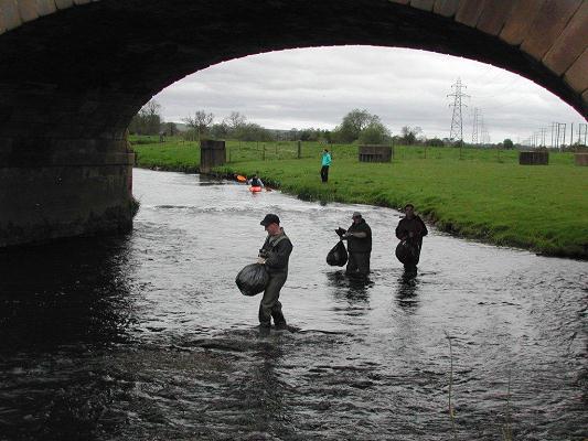 The Release